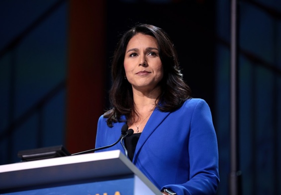 A Key Democrat Made the Worst Mistake of His Life by Picking One Fight With Tulsi Gabbard